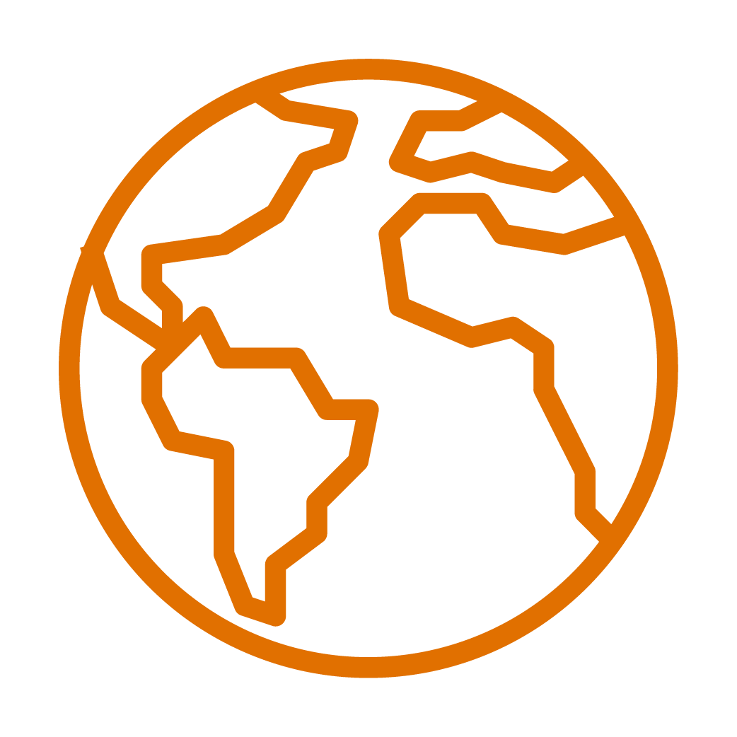Globe icon